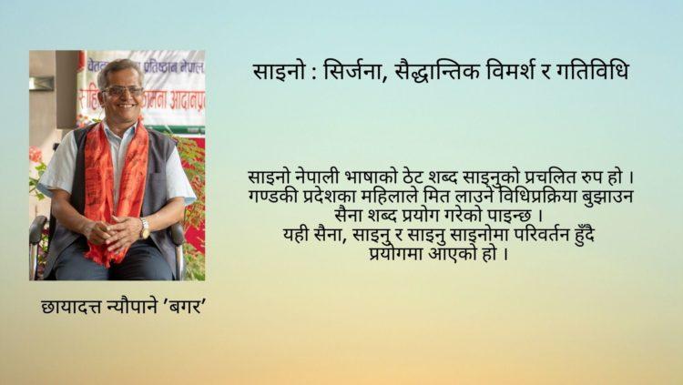 साइनो : सिर्जना, सैद्धान्तिक विमर्श र गतिविधि