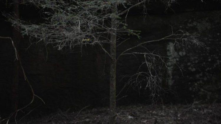 अन्धकारभित्रको अन्धकार – १३