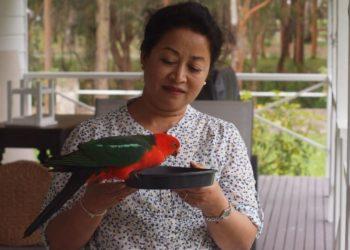 लुकामारी – चितवनसँग