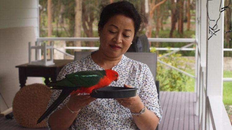 लुकामारी – चितवनसँग