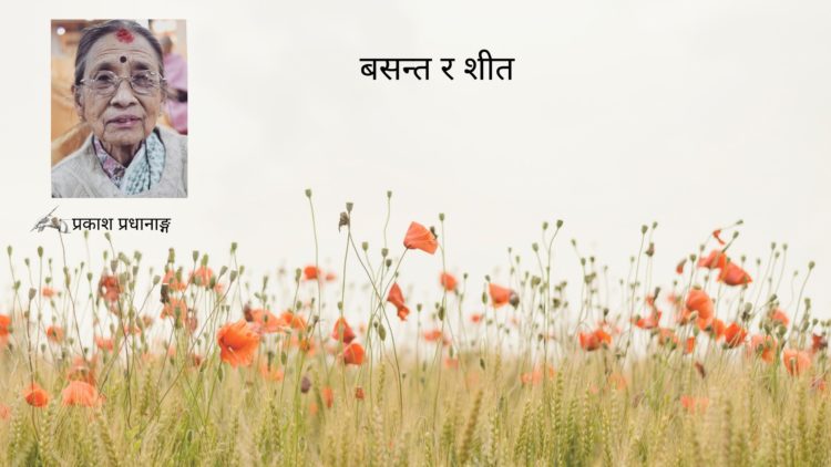 बसन्त र शीत