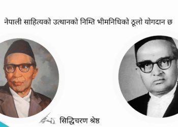 नेपाली साहित्यको उत्थानको निम्ति भीमनिधिको ठूलो योगदान छ