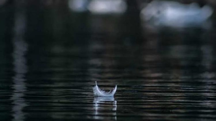 निरुत्तर