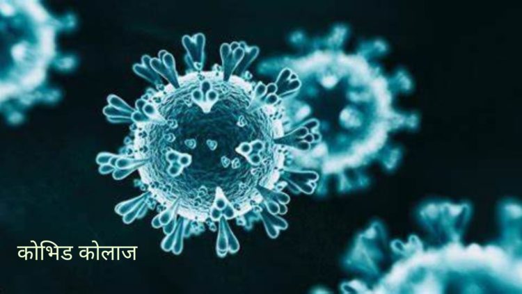 कोभिड कोलाज