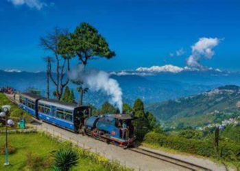 मैले भुल गरें