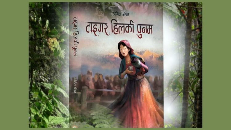 टाइगर हिलकी पुनम माथि एक समीक्षात्मक दृष्टि