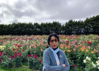 एउटा नितान्त व्यक्तिगत दिन