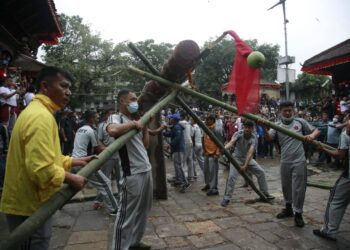 बोकाले छोएको रुख नै इन्द्रजात्राको लिंगो