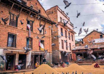 पनौती : अँध्यारोबाट उज्यालोतिर