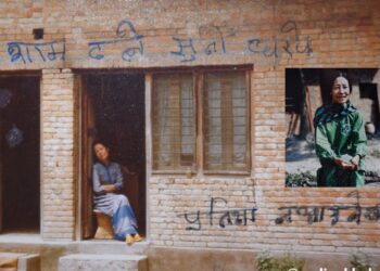 शिरीषको फूल उपन्यासभित्र उपन्यासकार पारिजात