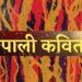 नेपाली कवितामा उत्तर आधुनिकतावाद