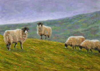 भेंडाहरूको शहरमा हराउँदा