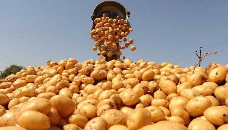 आलु–पुराण