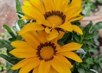 सुक्ष्म प्रेम