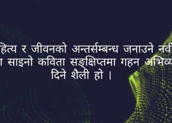 साइनो कविता : सिद्धान्त र सिर्जनपरम्परा